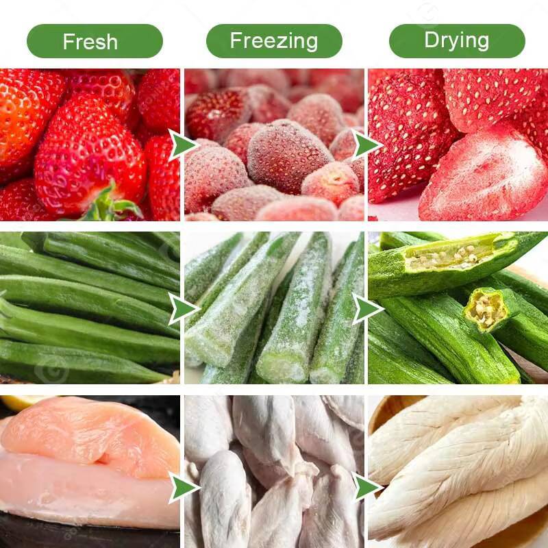 小型フリーズミニ凍結乾燥機、乾燥フルーツドライヤー、オースト - Dried Fruit のレビューと価格
